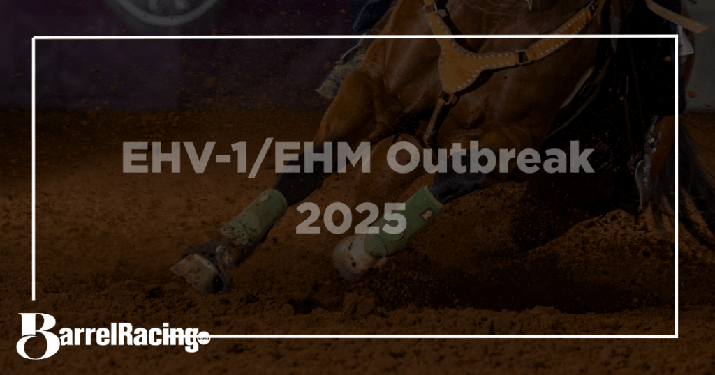 EHV outbreak 2025 info
