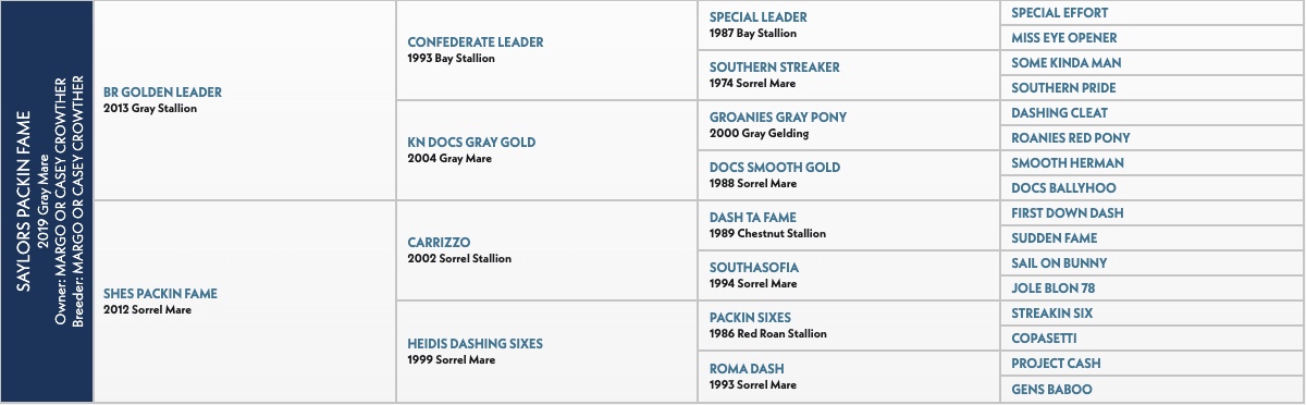 Saylors Packin Fame pedigree