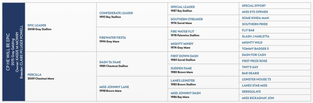 CP HE WILL BE EPIC HORSE PEDIGREE