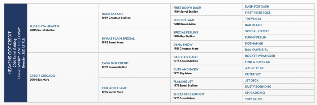 HEAVENS GOT CREDIT HORSE PEDIGREE
