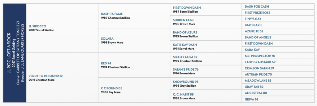 JL ROC LOST A SOCK horse pedigree
