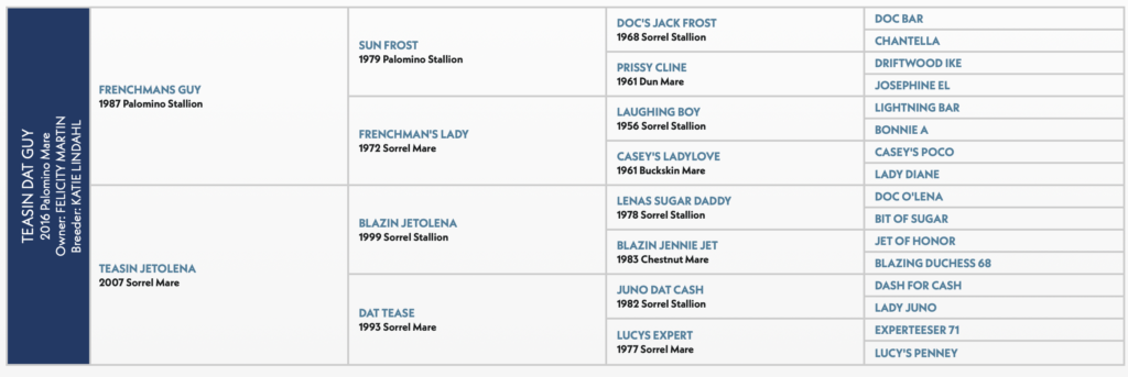 Teasin Dat Guy horse pedigree