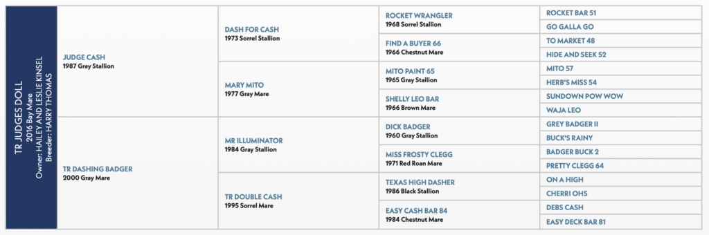 TR JUDGES DOLL HORSE PEDIGREE