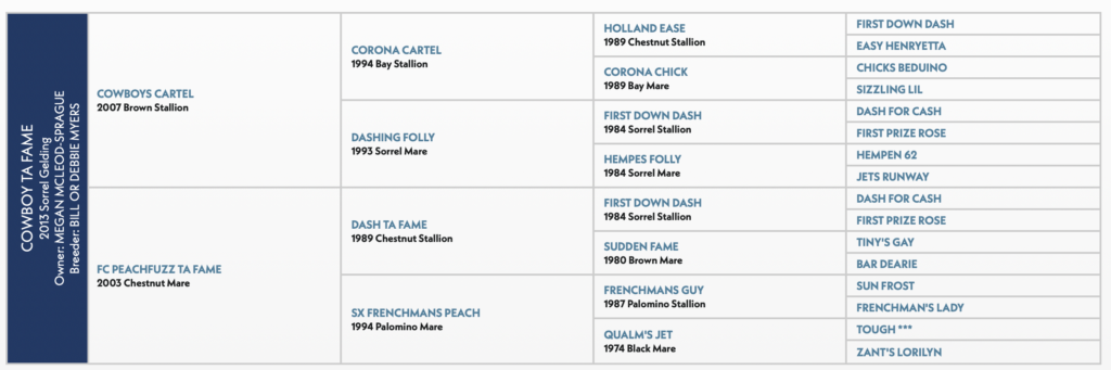 COWBOY TA FAME horse pedigree