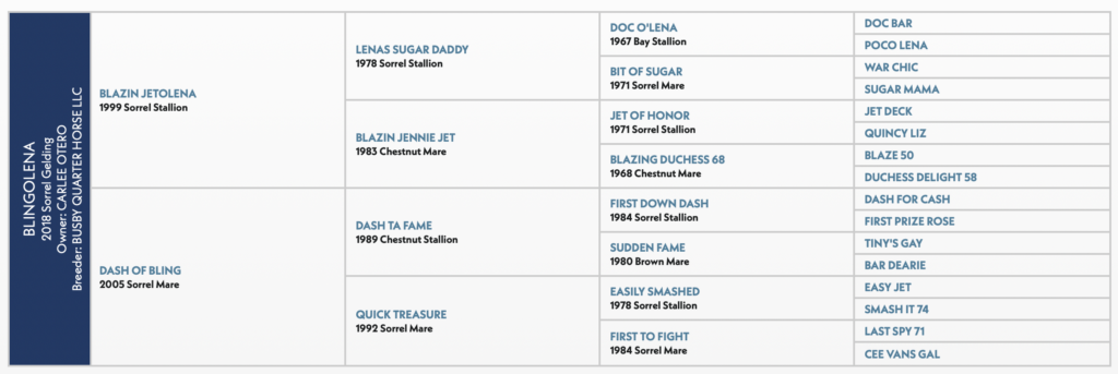Blingolena horse pedigree