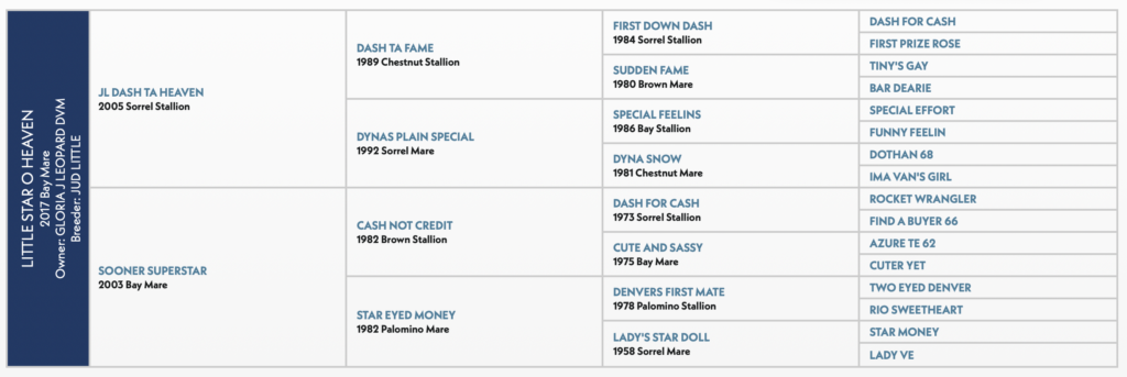 Little Star O Heaven pedigree
