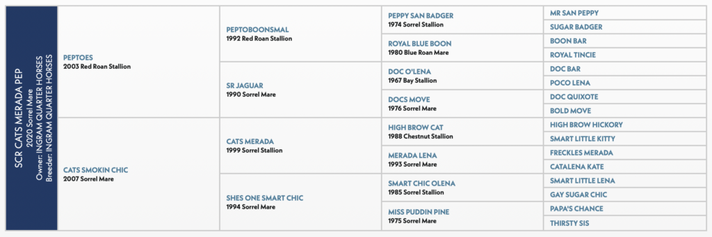 SCR CATS MERADA PEP horse pedigree