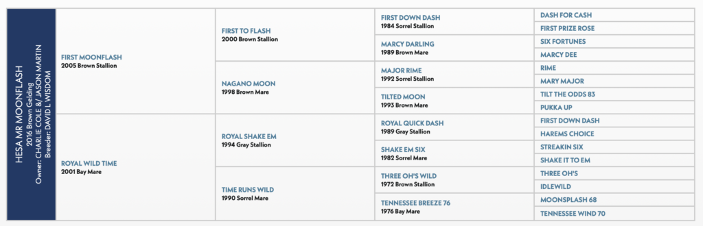 HESA MR MOONFLASH PEDIGREE