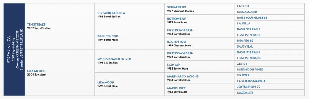 Streak N Liza horse pedigree
