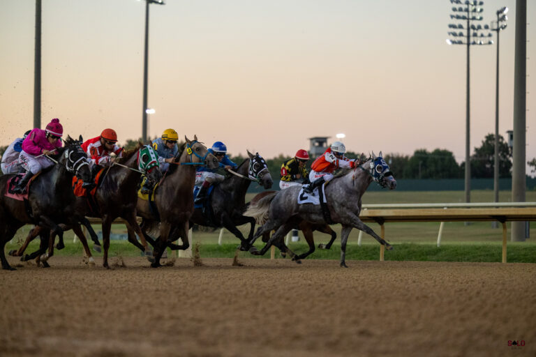 Fastrack race horse sales