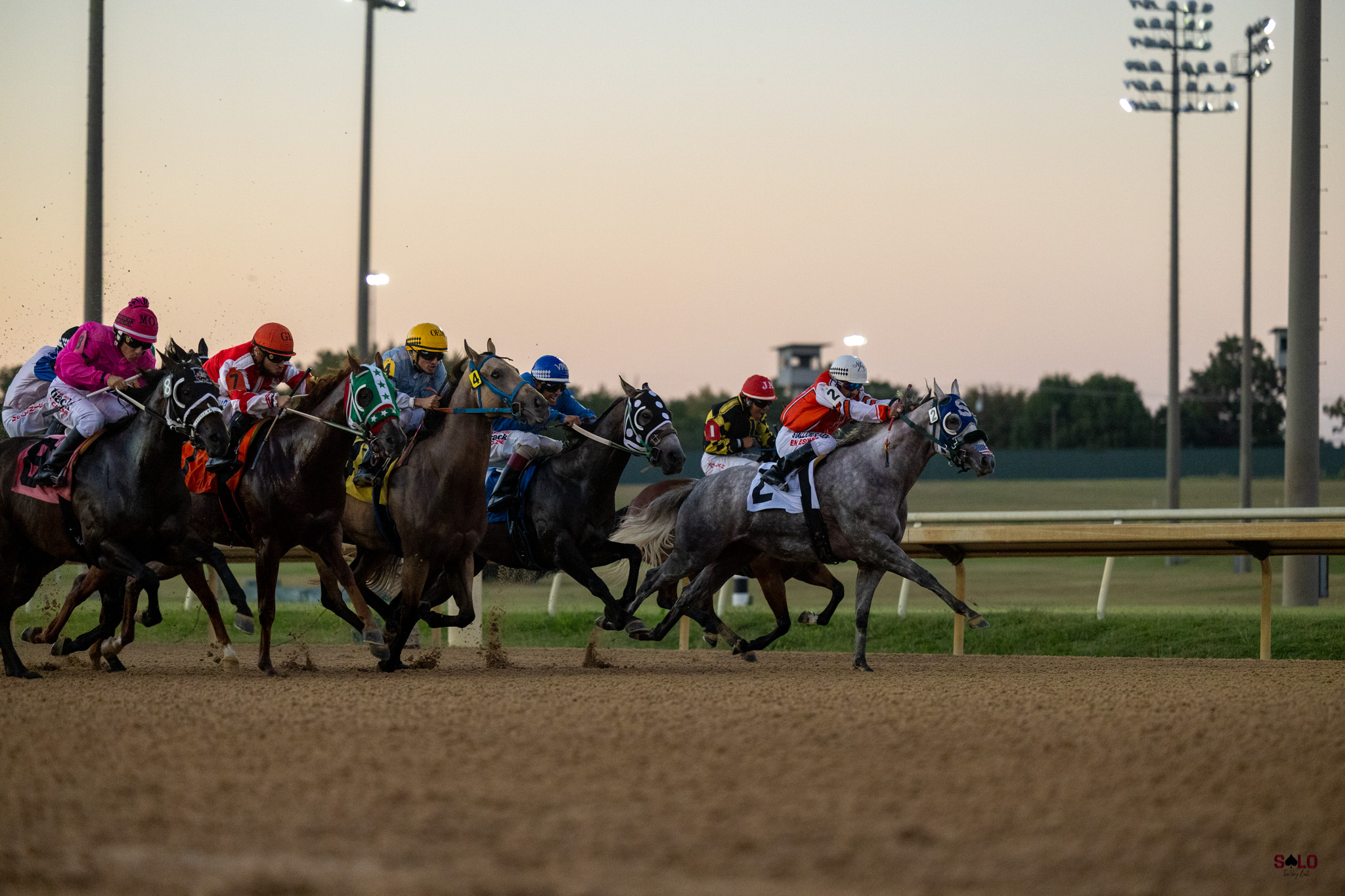 Fastrack race horse sales