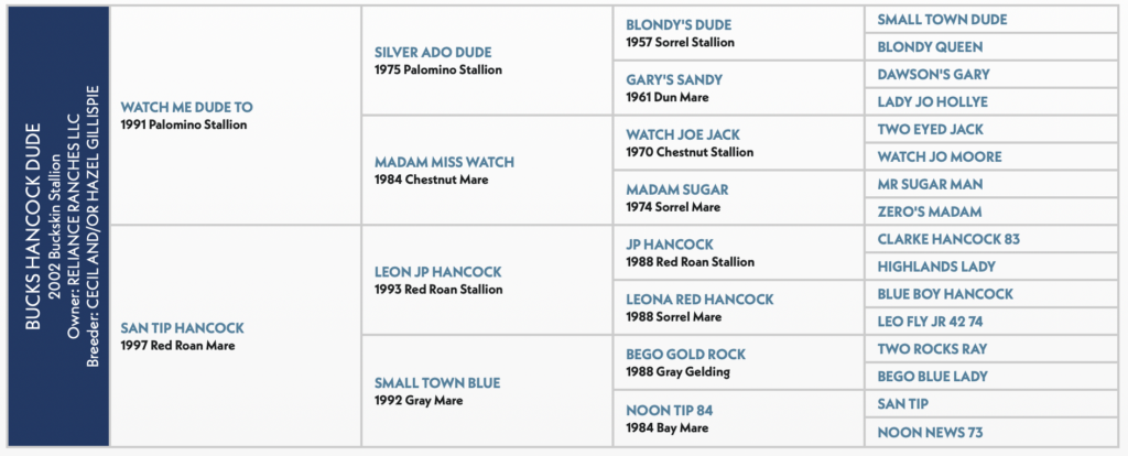 Bucks Hancock Dude Pedigree