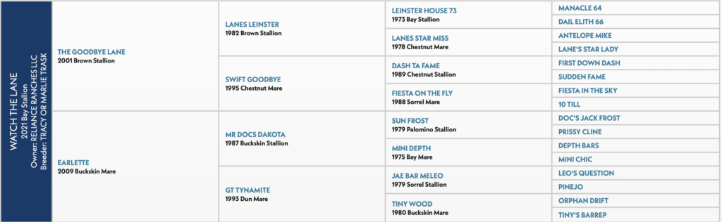 Watch The Lane pedigree