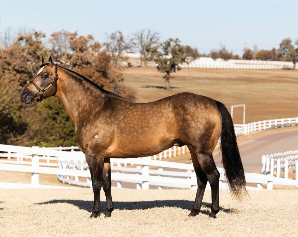 Bucks Hancock Dude poses