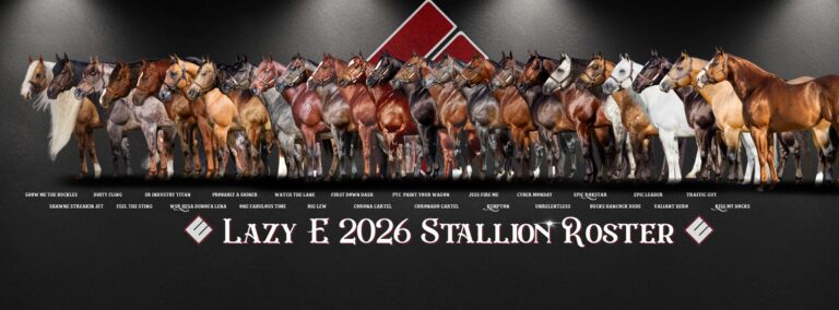 Lazy E stallions graphic with all horses lined up and logo