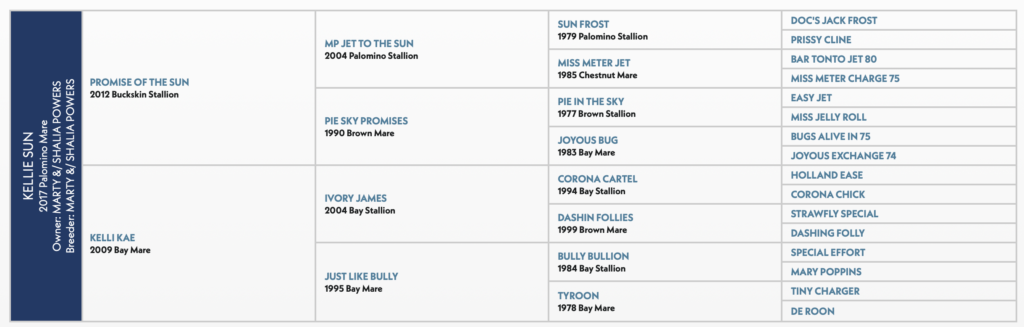 Kellie Sun pedigree