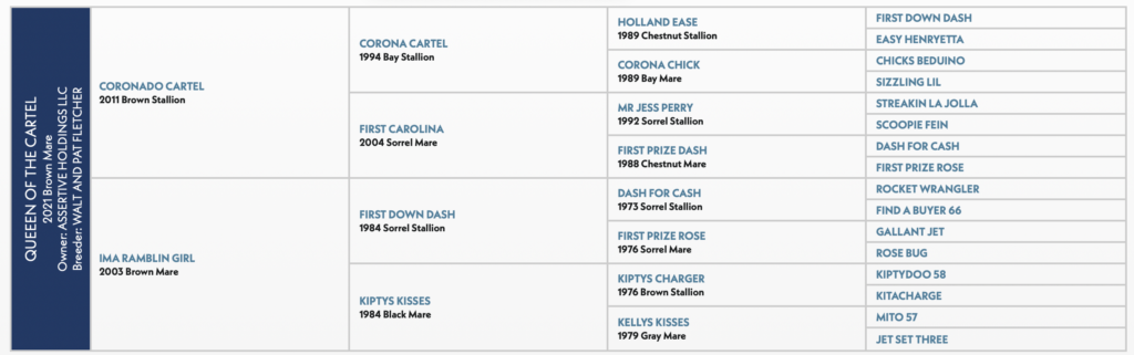 Queeen of the cartel pedigree