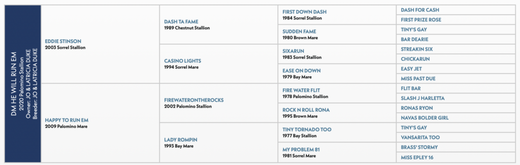 DM He Will Run Em pedigree