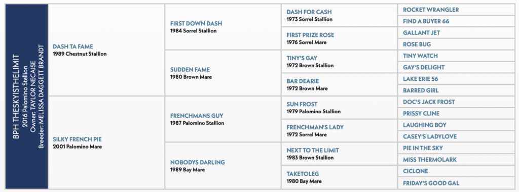 BPH Theskyisthelimit pedigree