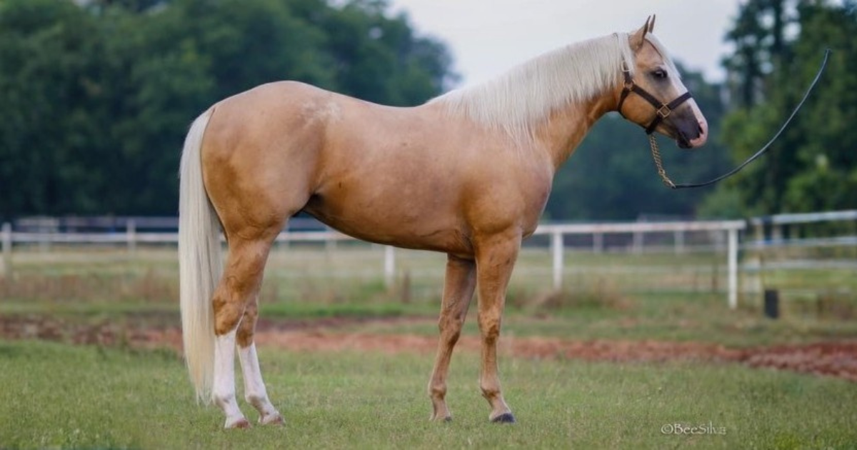 BPH theskyisthelimit poses