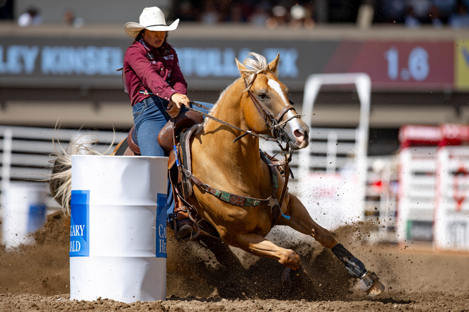 Barerel Racing Meet the Field: 2026 NFR Barrel Racing Qualifiers