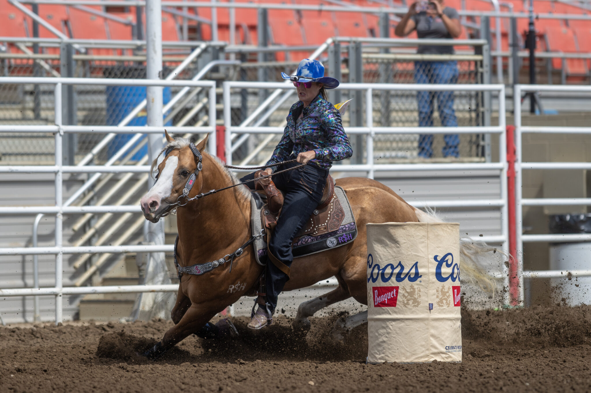2026 Governor's Cup Horses | Barrel Racing Pedigrees