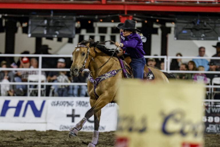 Kathy Grimes growls at her buckskin horse in a purple shirt running home