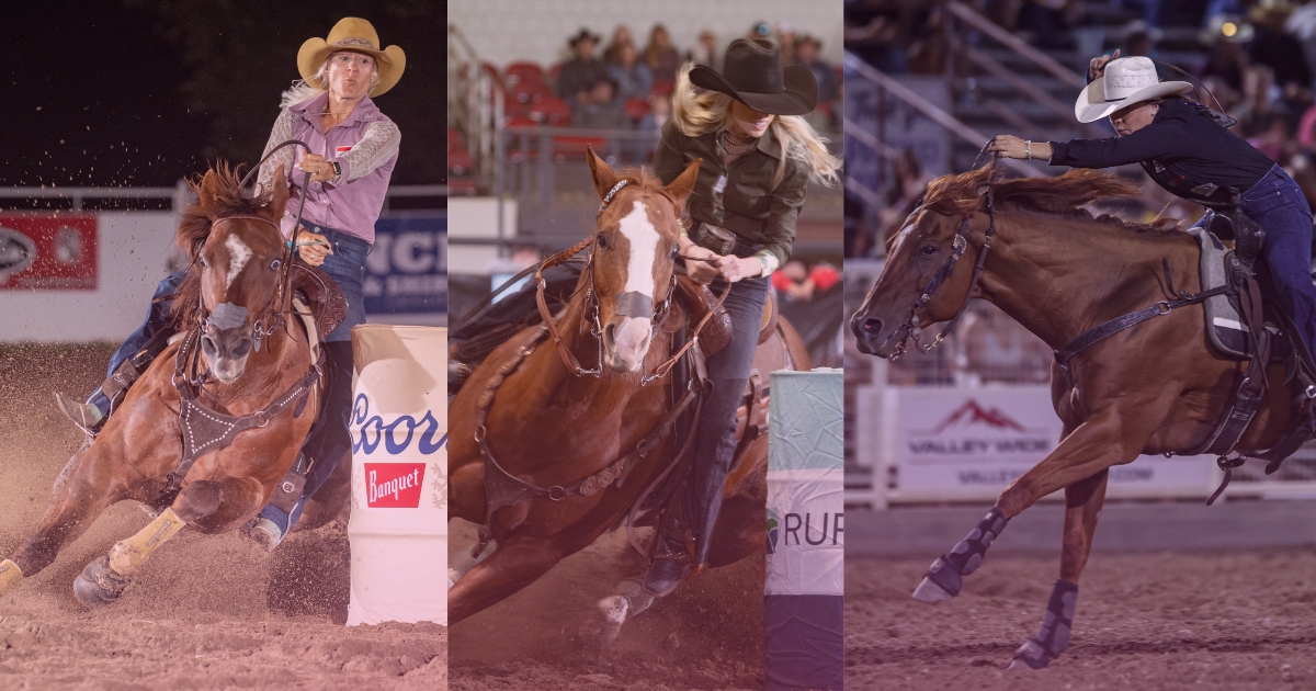 three barrel racers competing in a collage