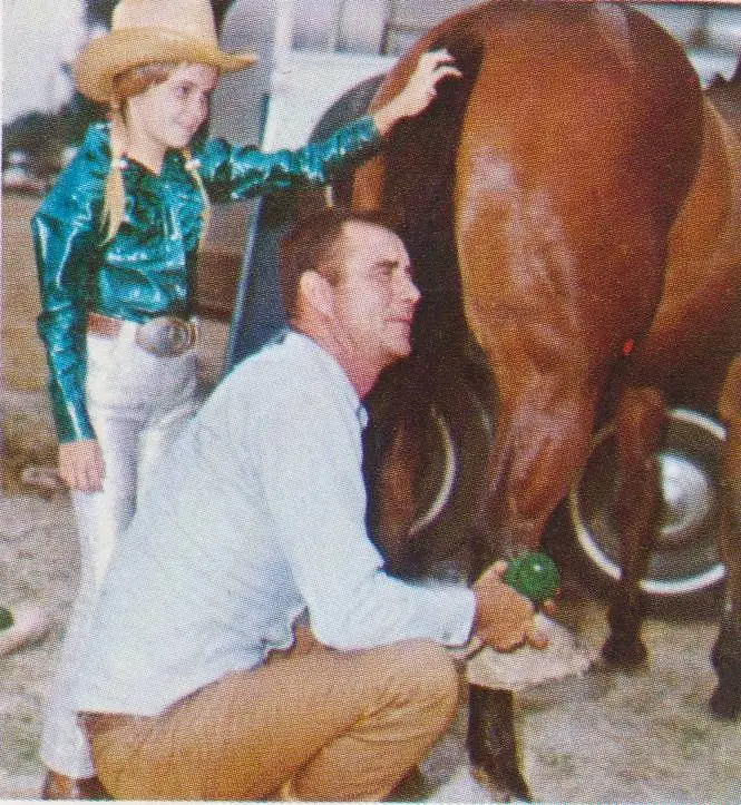 a man brushes a horse with his daughter