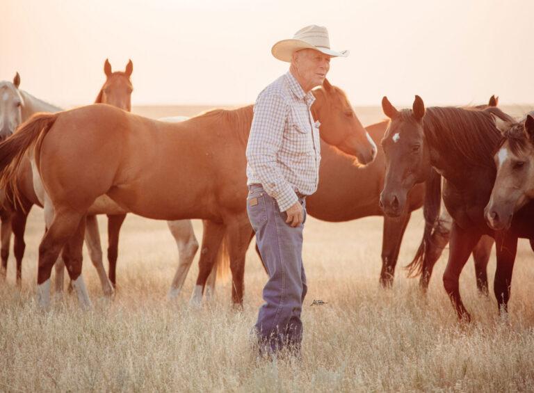 Bill Myers stands with some horses in a field