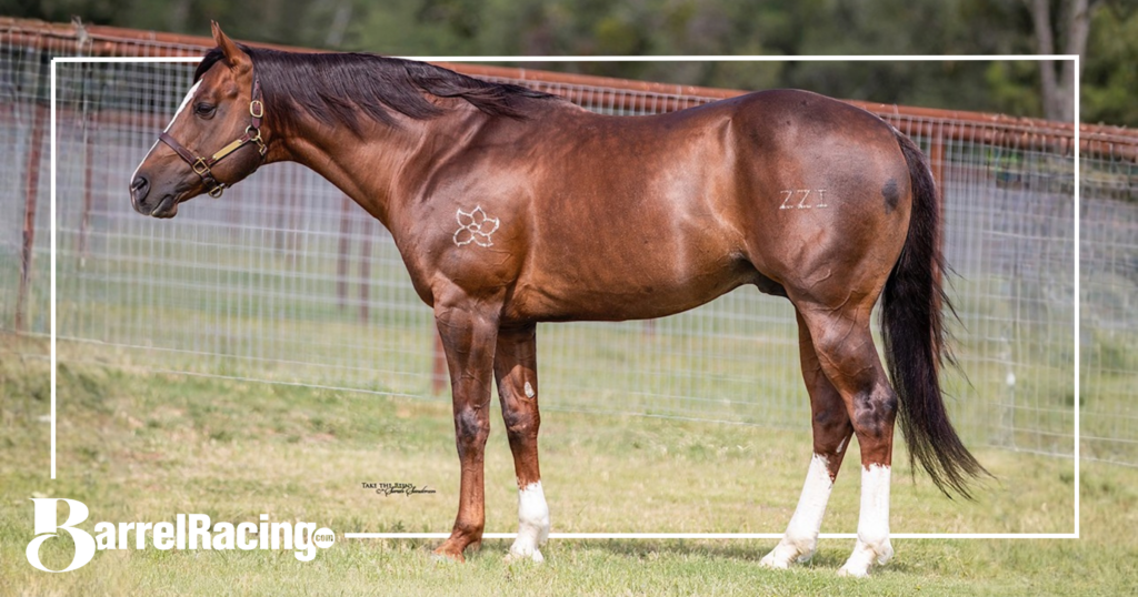 Brittany Tonozzi Offers A Guy With Proof in Corsica Sale