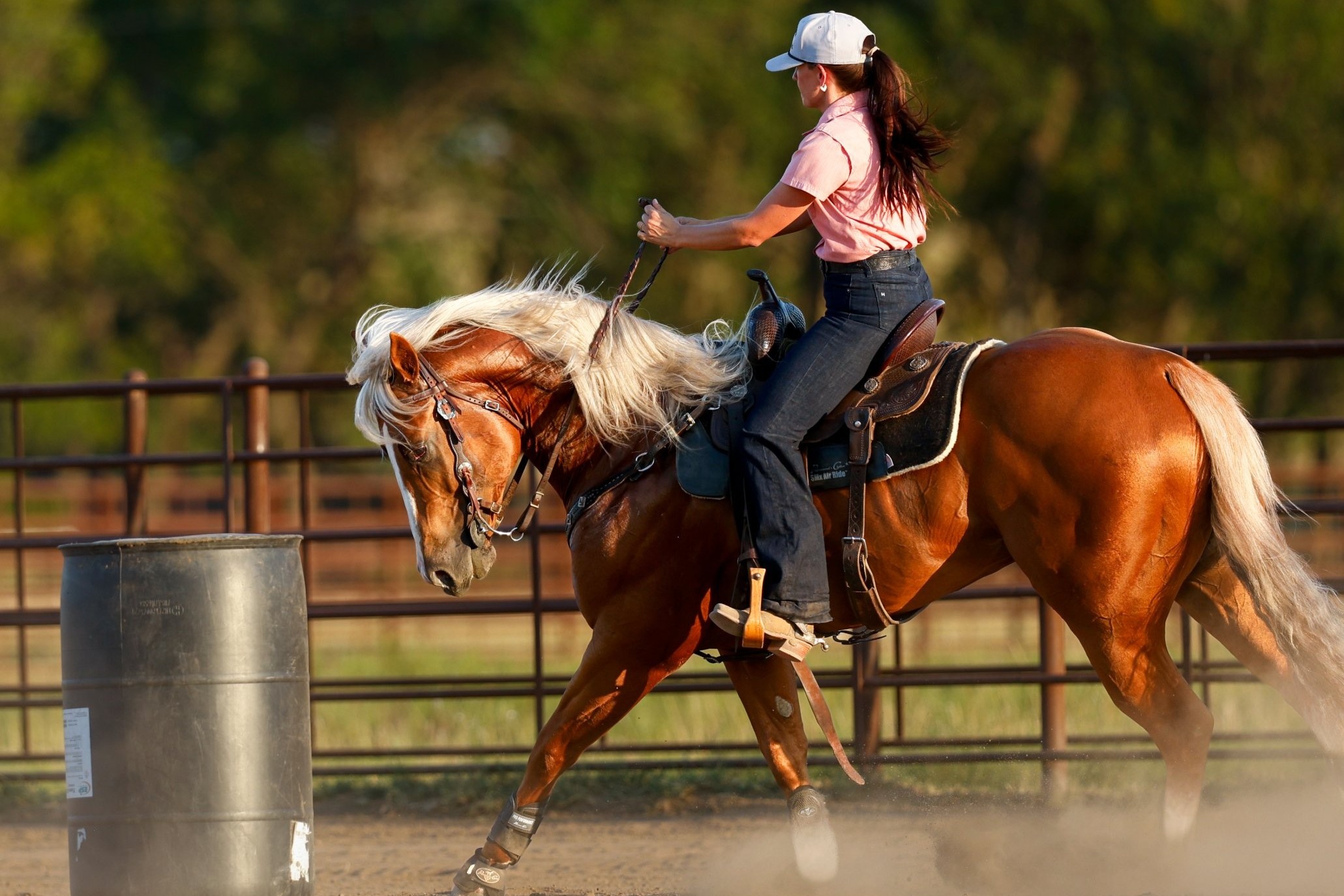 Palomino stallion Bigg Smoke turns a barrel in a practice pen, his blond mane flying.