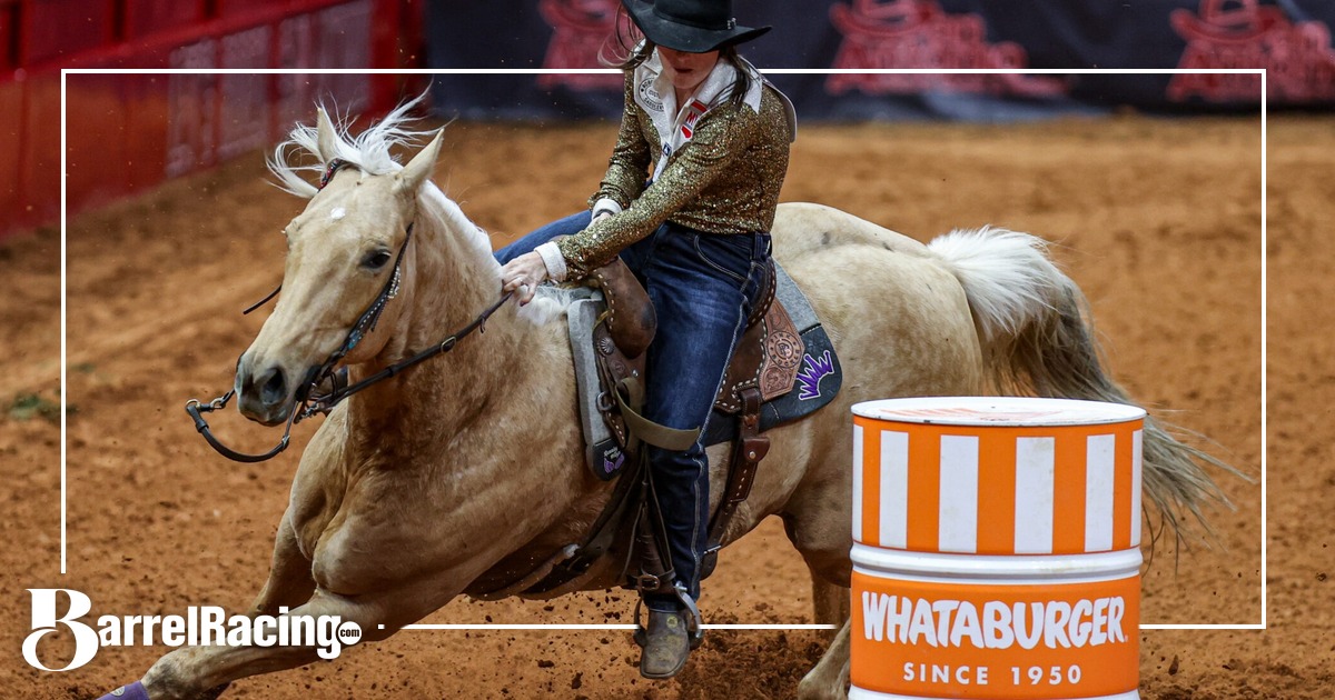 Stallion Revolver Cover Buncha Dinero Named 2026 Barrel Racing Horse of the Year - BarrelRacing.com
