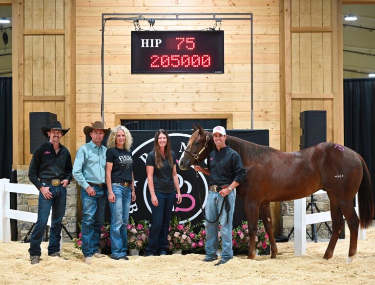 Hes The Goodz, a sorrel yearling colt, stands in the sale ring with his consignors and buyers under the board showing Hip 75 at $205,000 at the 2026 Pink Buckle Stallion Owners Select Sale.