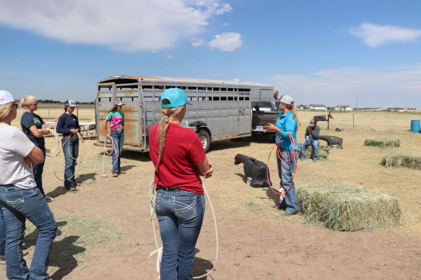 Fighting An Uphill Battle: Making Prorodeo Breakaway Roping Work Financially