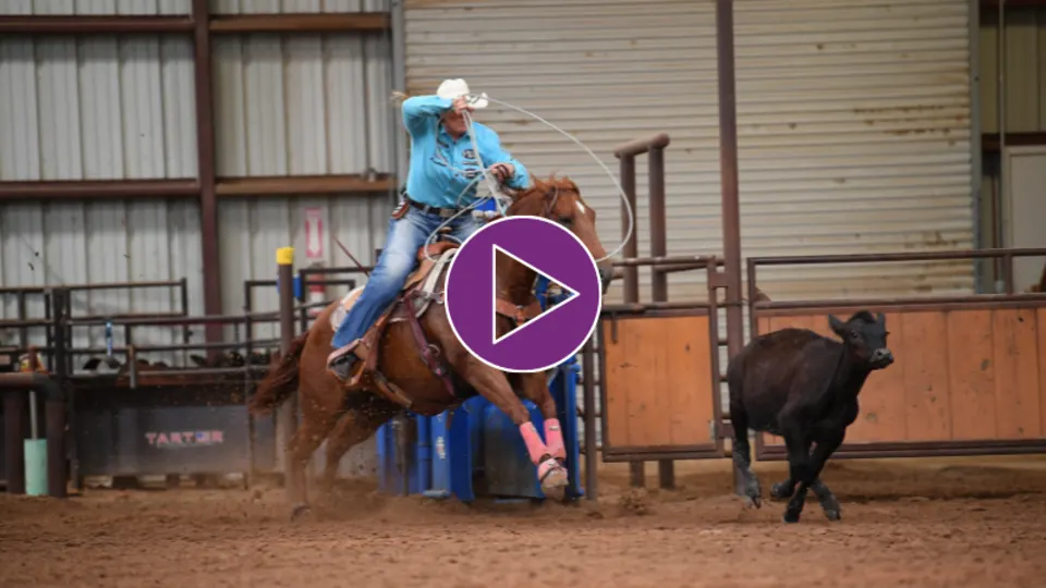 The-Basic-Elements-Ropers-Swing