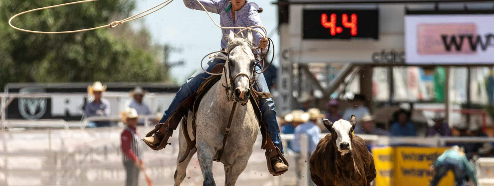 cheyennefrontierdays_breakawayroping_courtesycfd_4q0a7636-1-scaled