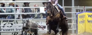 courtneywood_highdesertstampede_prorodeobreakawayroping_redmondoregon_march2021_kentsoule-1-scaled