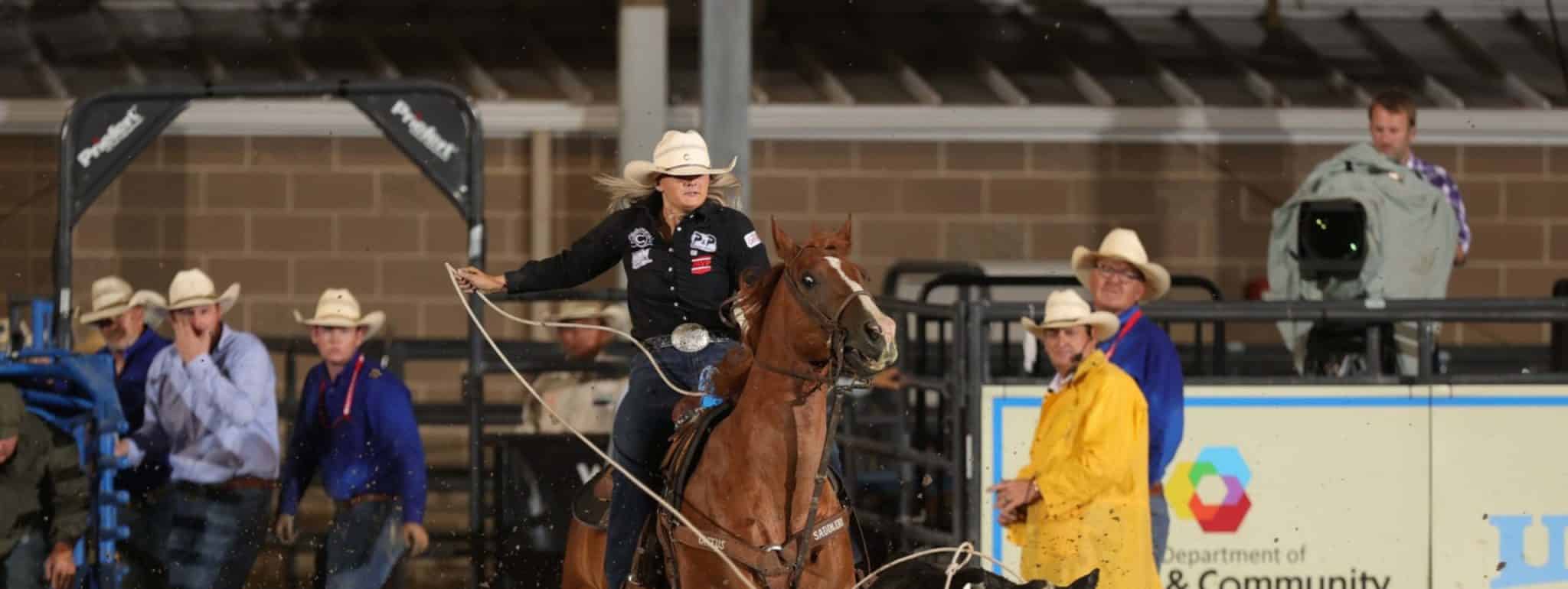 65cbea91-5b2a-4094-8072-197b6aac5d92-2-scaled