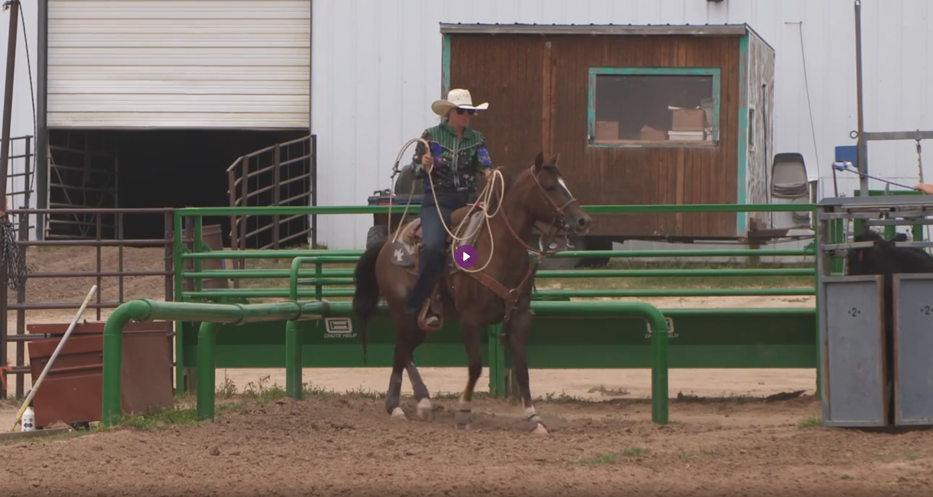 Lindsay Sumpter doing a walk score