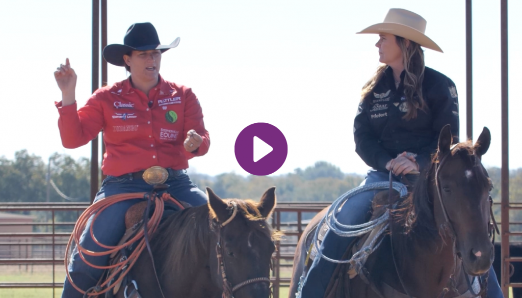 Trouble-shooting “cheating” Horses