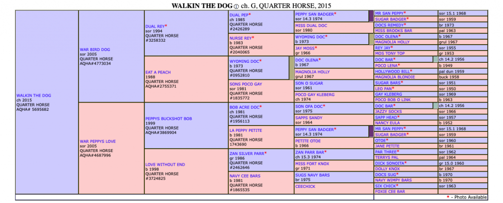 Walkin The Dog: Team Roping Futurity Standout Turned Breakaway Horse