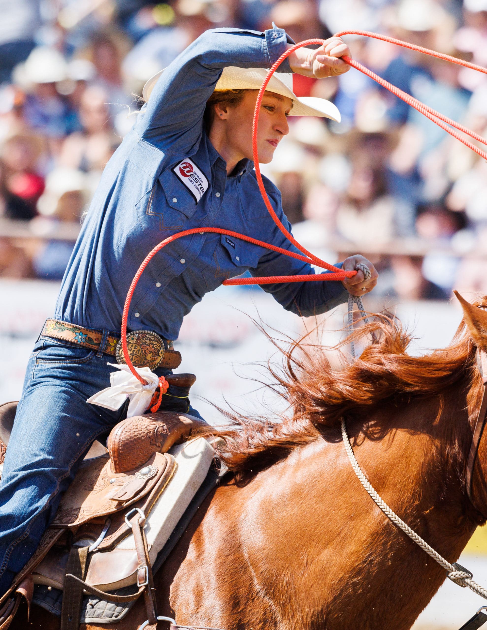 Catching Planes, Roping Necks, And Making History—with gianna Cianfichi