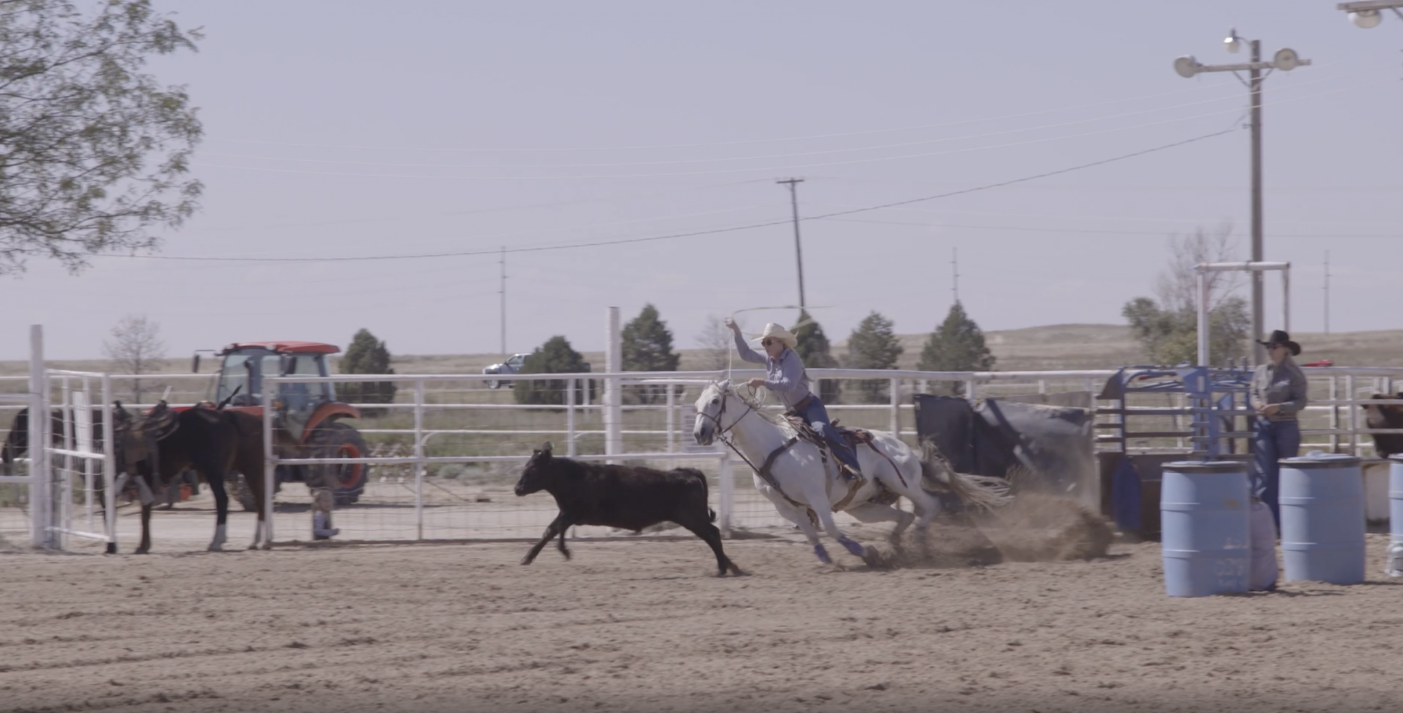 Bethanie Shofner On Roping On A Free Horse