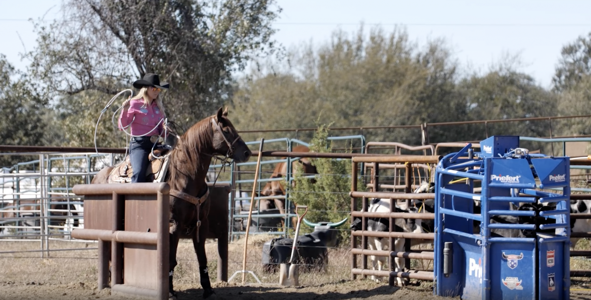 Tips To Stay Aggressive On Slower Calves