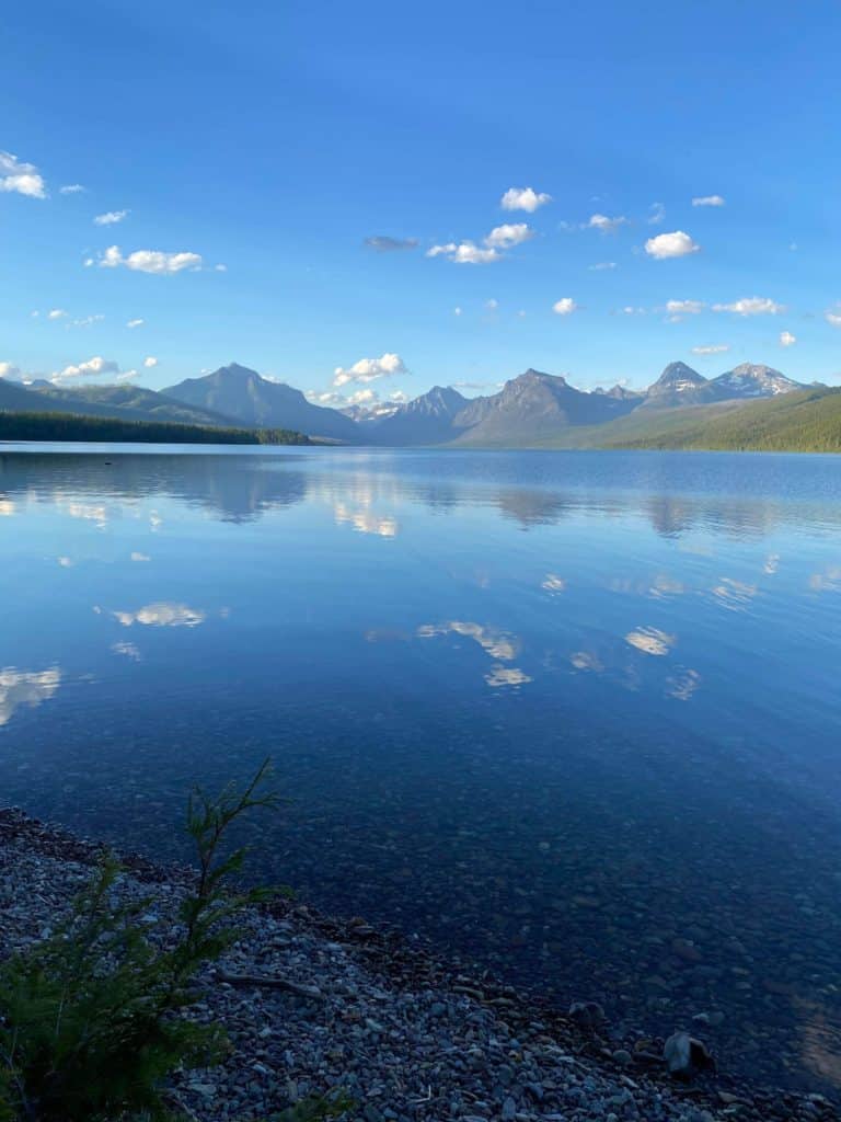 ProRodeo breakaway roping rookie adventures