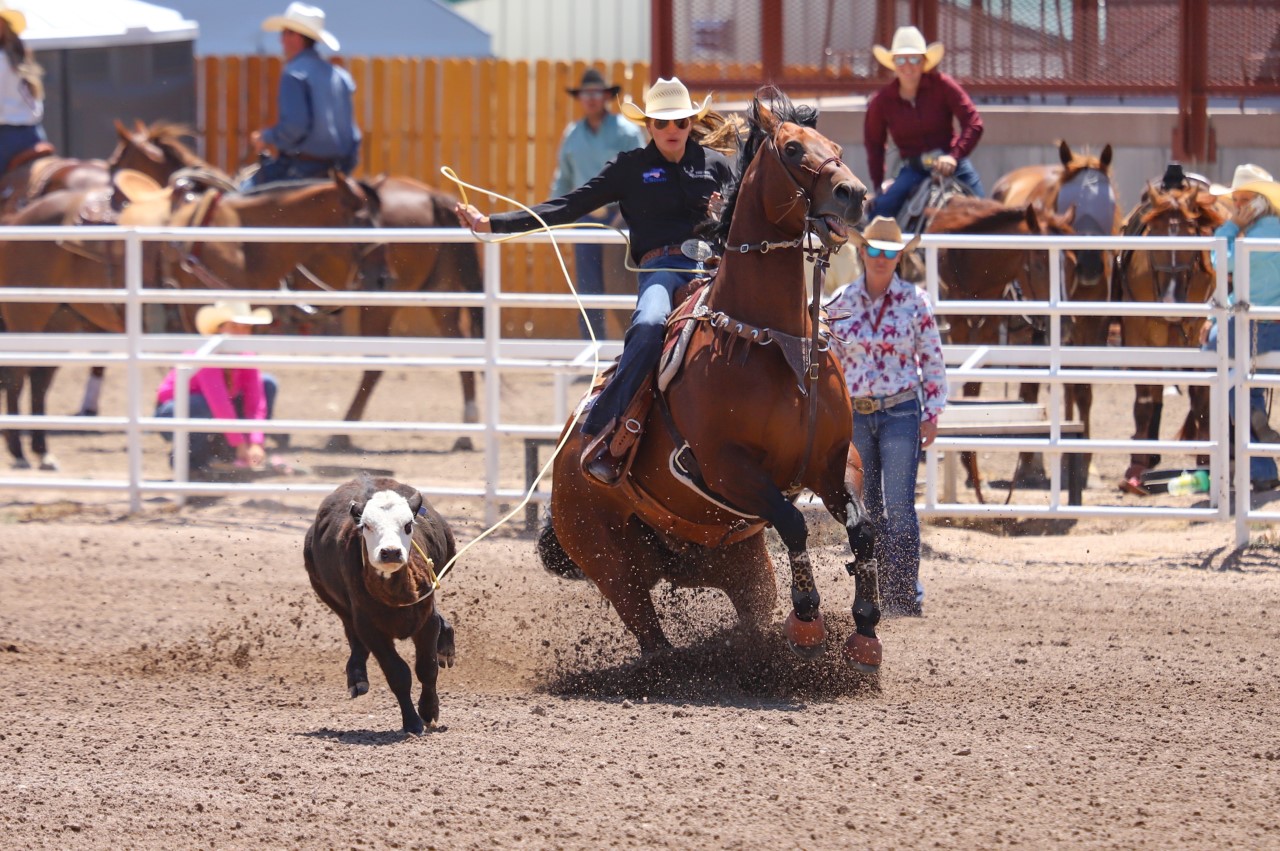 Breakaway Roping in Cheyenne Wyoming