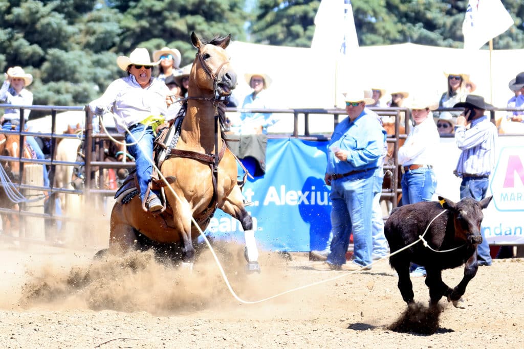 Prorodeo Breakaway Roping: Cowboy Christmas Tracker