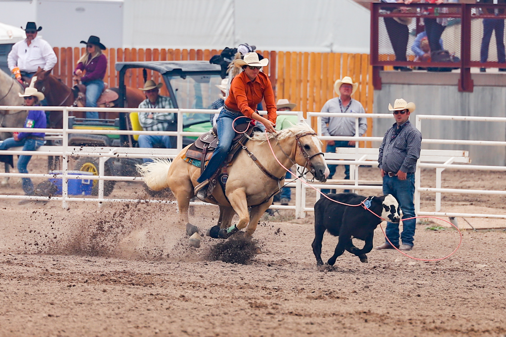 Tiffany Schieck Breakaway Roping on Susie