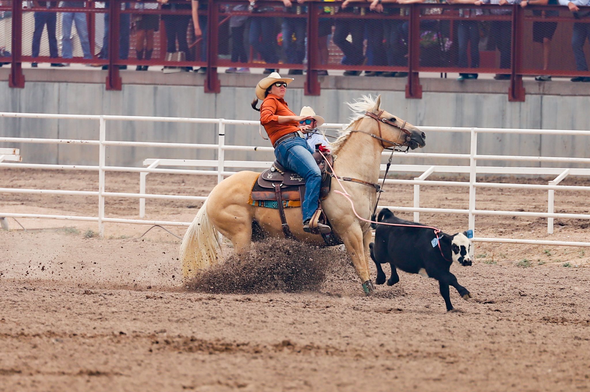 Tiffany Schieck Breakaway Roping in Cheyenne, Wyoming